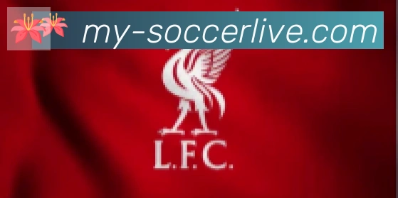 2026世界杯竞猜入口合作伙伴
